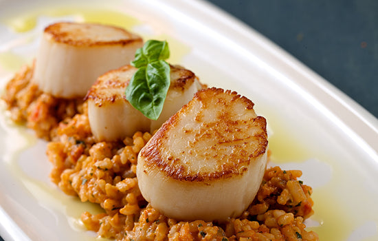 Scallywag Scallops